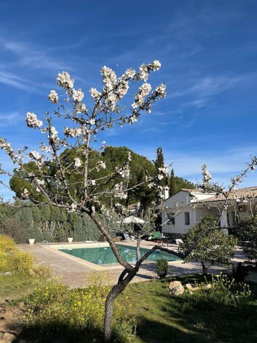 Casa Galiana. Villa Arges Ngoại thất bức ảnh